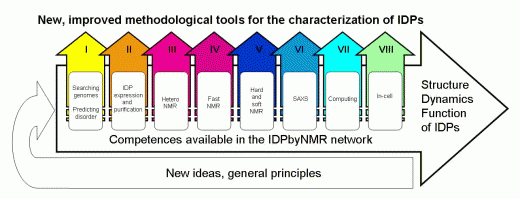 IDP by NMR scheme: improved methodological tools for the characterization of IDPs